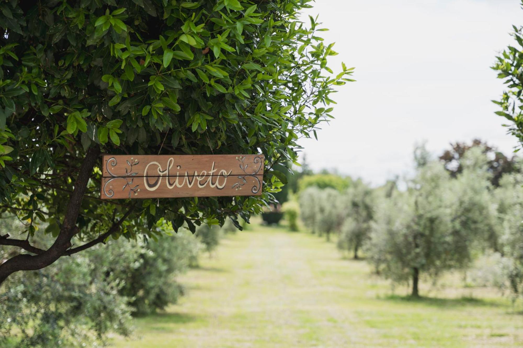 Agriturismo La Filanda Manerba del Garda Kültér fotó